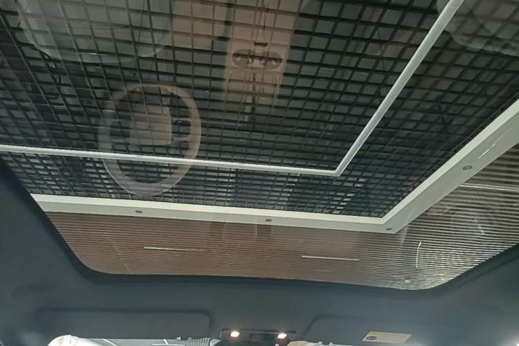 Used Li Auto i6 2025 Model Two-Wheel-Drive Standard Type Headliner