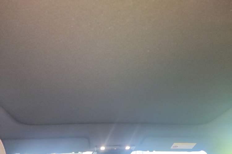 Used Li Auto i6 2025 Model Two-Wheel-Drive Standard Type Headliner