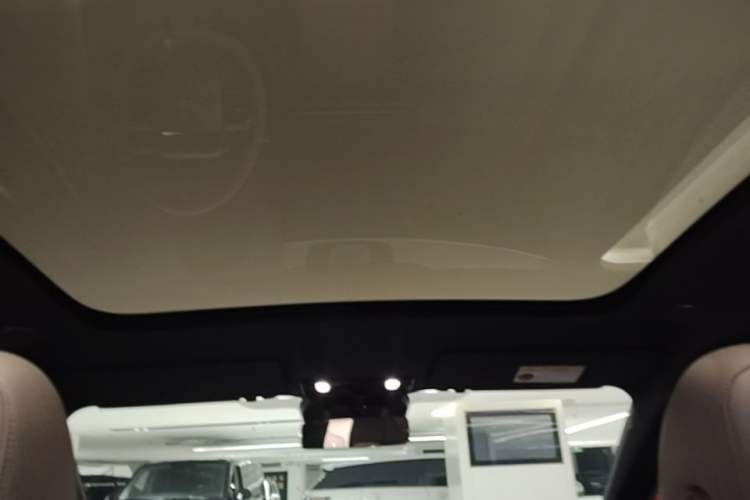 Used Li Auto i6 2025 Model Two-Wheel-Drive Standard Type Headliner