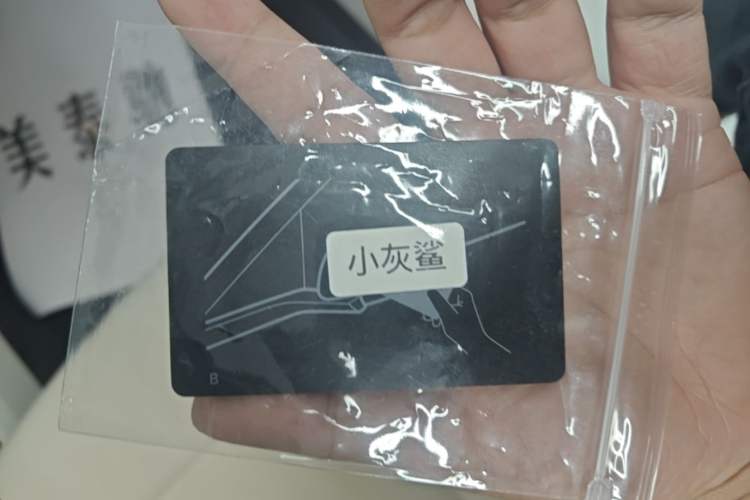 Used Li Auto i6 2025 Model Two-Wheel-Drive Standard Type Vehicle Key