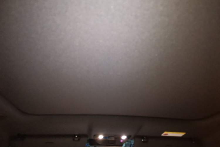 Used Li Auto i6 2025 Model Two-Wheel-Drive Standard Type Headliner