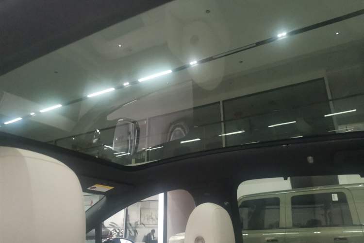 Used Li Auto i6 2025 Model Two-Wheel-Drive Standard Type Headliner