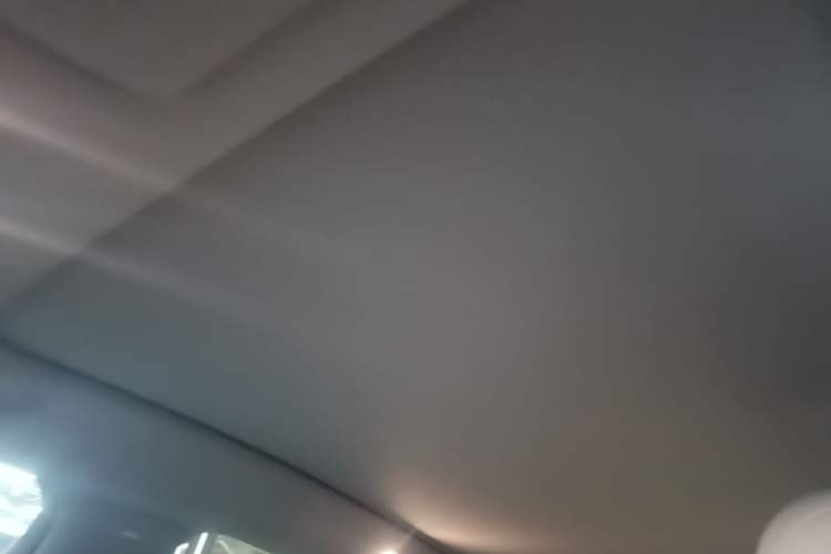 Used Li Auto i6 2025 Model Two-Wheel-Drive Standard Type Headliner