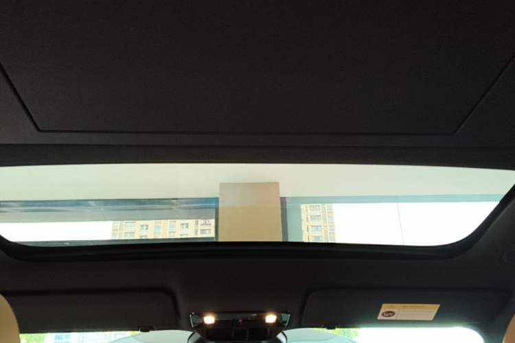 Used Li Auto i6 2025 Model Two-Wheel-Drive Standard Type Headliner