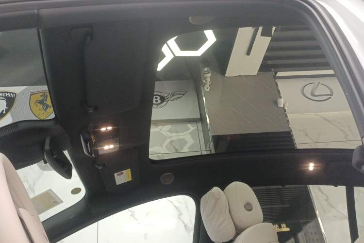 Used Li Auto i6 2025 Model Two-Wheel-Drive Standard Type Headliner