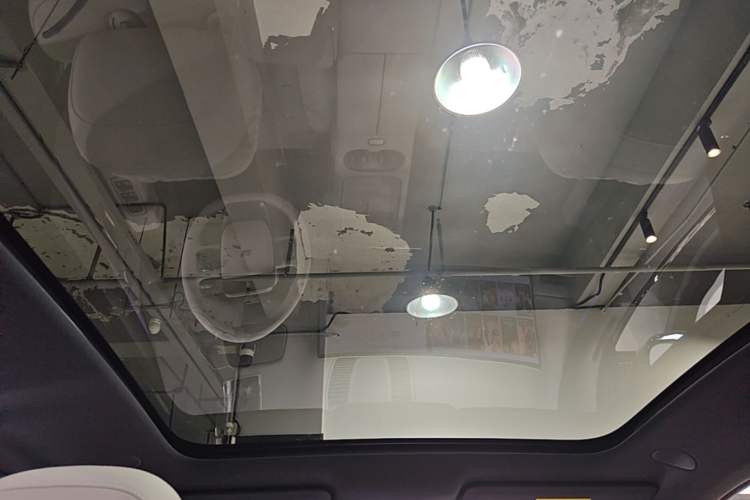 Used Li Auto i6 2025 Model Two-Wheel-Drive Standard Type Headliner