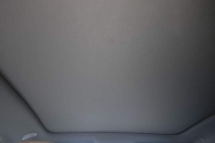 Used Li Auto i6 2025 Model Two-Wheel-Drive Standard Type Headliner