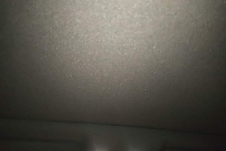 Used Li Auto i6 2025 Model Two-Wheel-Drive Standard Type Headliner
