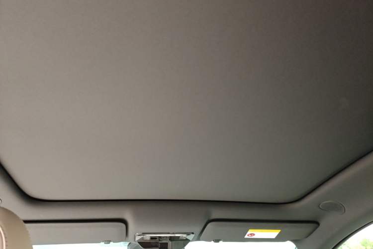 Used Li Auto i6 2025 Model Two-Wheel-Drive Standard Type Headliner