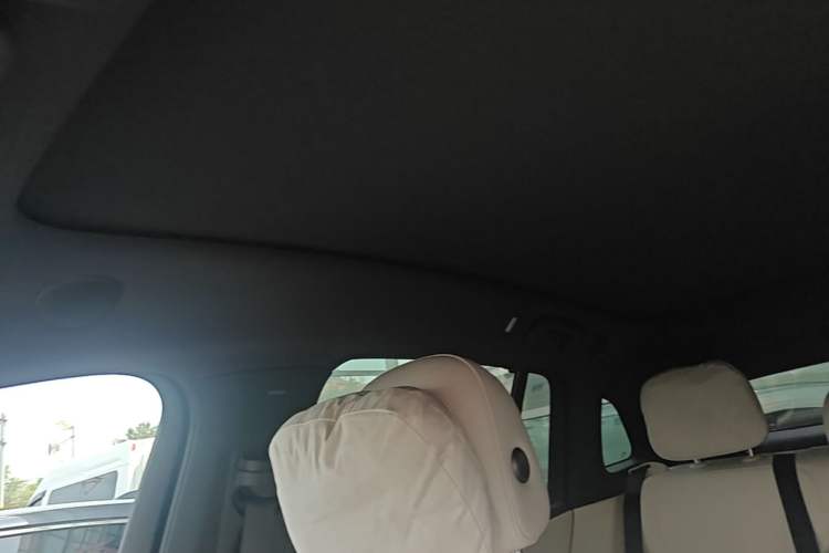 Used Li Auto i6 2025 Model Two-Wheel-Drive Standard Type Headliner