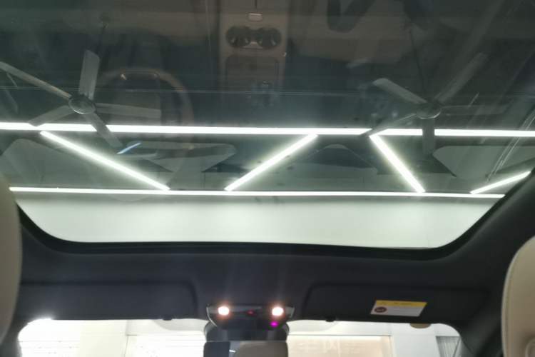 Used Li Auto i6 2025 Model Two-Wheel-Drive Standard Type Headliner