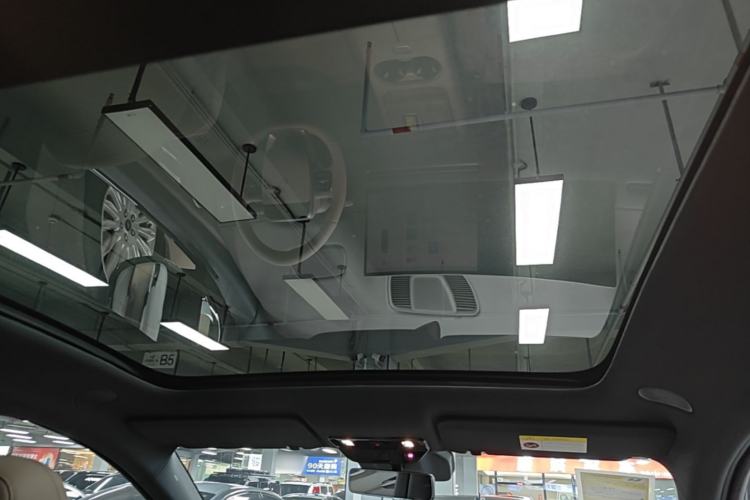 Used Li Auto i6 2025 Model Two-Wheel-Drive Standard Type Headliner
