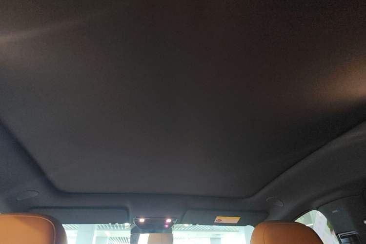 Used Li Auto i6 2025 Model Two-Wheel-Drive Standard Type Headliner