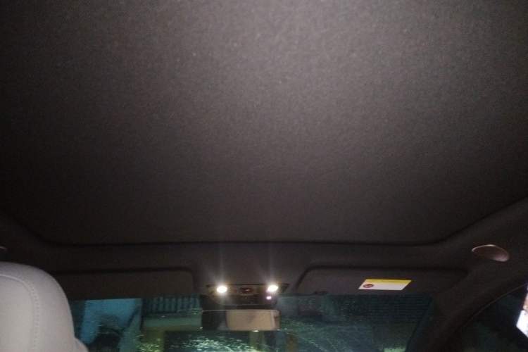 Used Li Auto i6 2025 Model Four-Wheel-Drive Standard Type Headliner