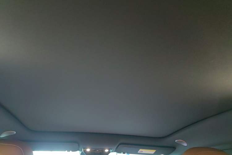 Used Li Auto i6 2025 Model Four-Wheel-Drive Standard Type Headliner