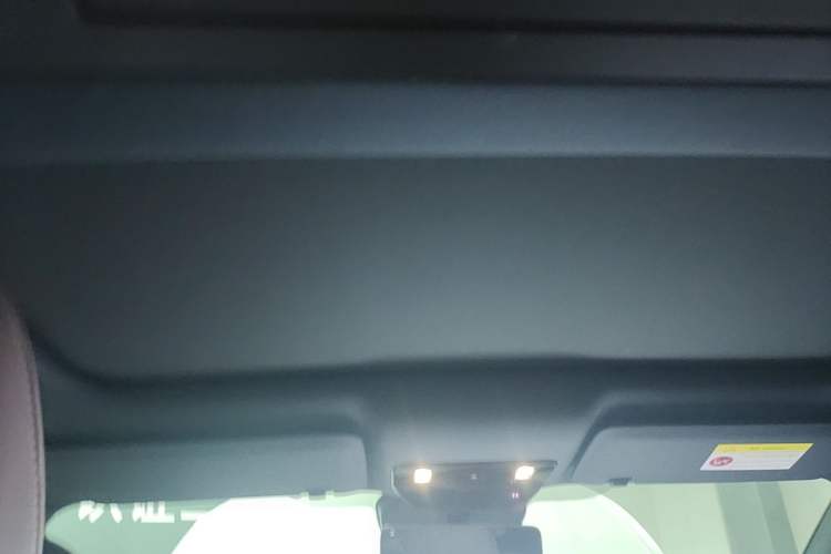 Used Li Auto i6 2025 Model Two-Wheel-Drive Standard Type Headliner