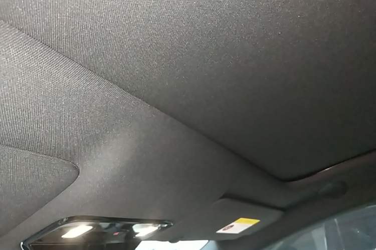 Used Li Auto i6 2025 Model Two-Wheel-Drive Standard Type Headliner