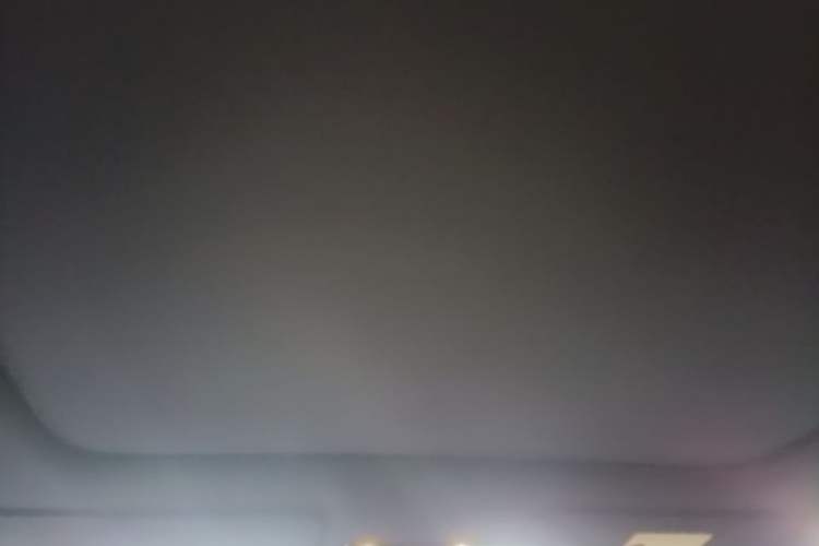 Used Li Auto i6 2025 Model Two-Wheel-Drive Standard Type Headliner