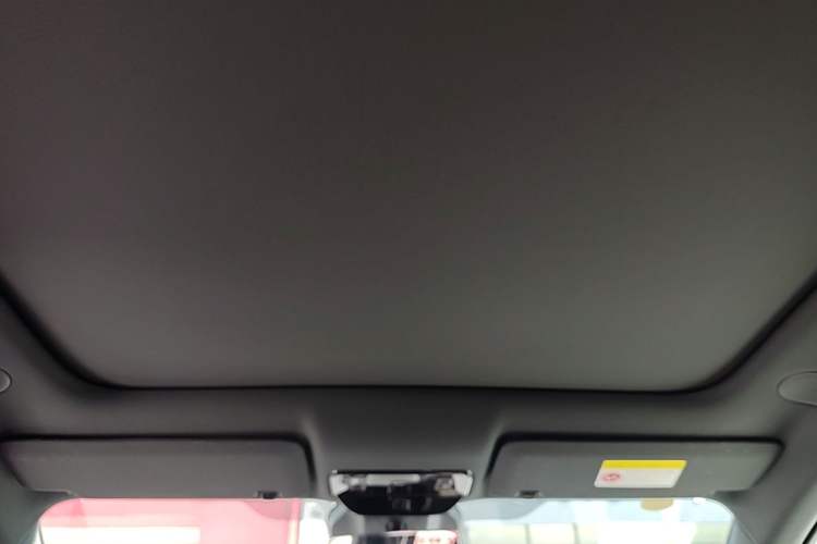 Used Li Auto i6 2025 Model Two-Wheel-Drive Standard Type Headliner