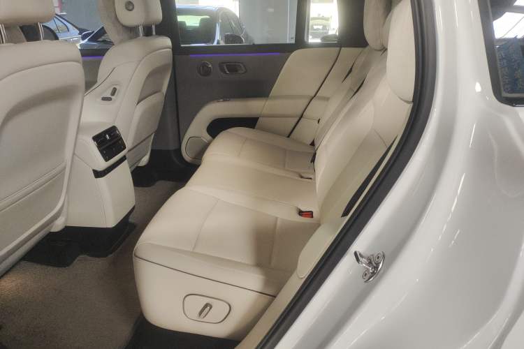 Used Li Auto i6 2025 Model Two-Wheel-Drive Standard Type Left Rear Seat