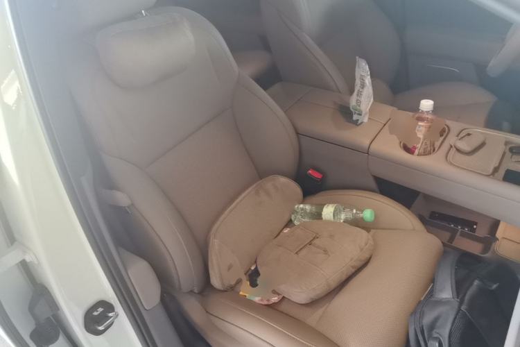 Used Li Auto i6 2025 Model Two-Wheel-Drive Standard Type Right Front Seat
