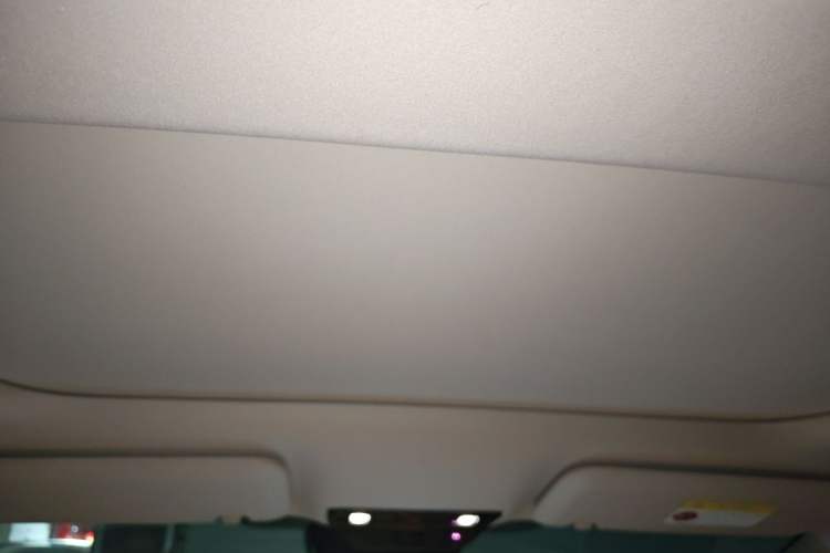 Used Li Auto MEGA 2024 Ultra Model Headliner