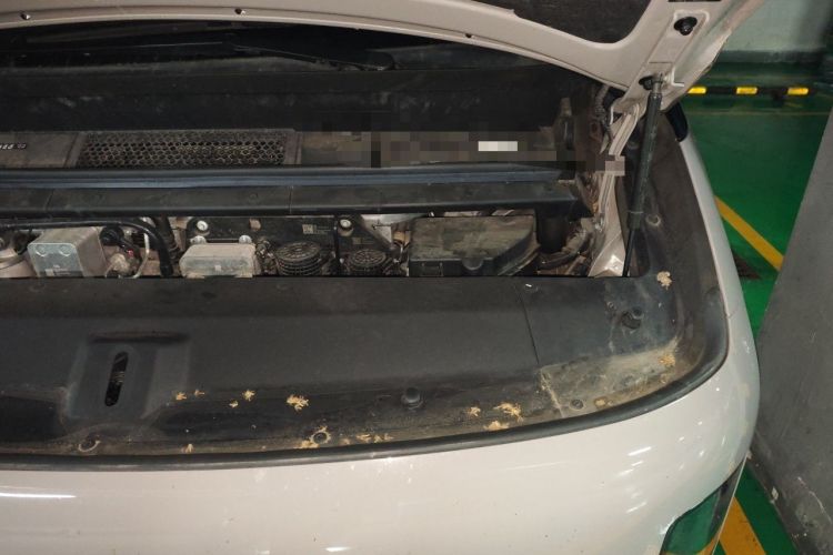 Used Li Auto MEGA 2024 Ultra Model Engine Bay Left