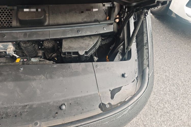 Used Li Auto MEGA 2024 Ultra Model Engine Bay Left