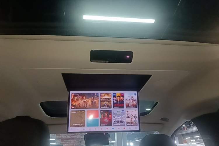 Used Li Auto MEGA 2024 Ultra Model Headliner