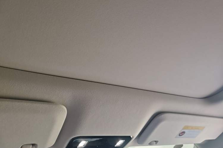 Used Li Auto MEGA 2024 Ultra Model Headliner