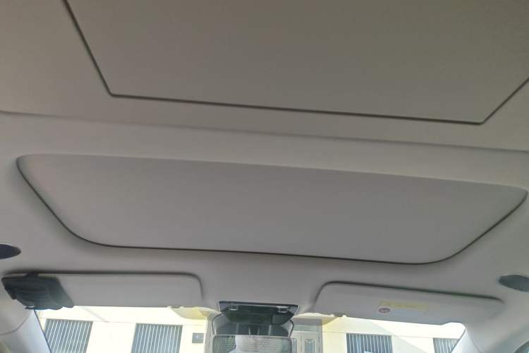 Used Li Auto MEGA 2024 Ultra Model Headliner