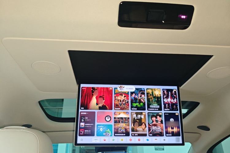 Used Li Auto MEGA 2024 Ultra Model Headliner