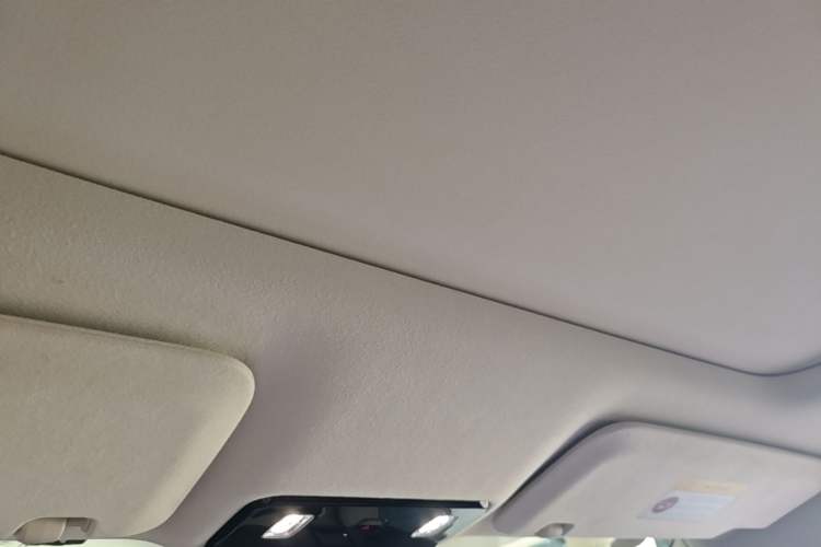 Used Li Auto MEGA 2024 Ultra Model Headliner