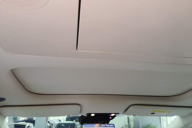 Used Li Auto MEGA 2024 Ultra Model Headliner
