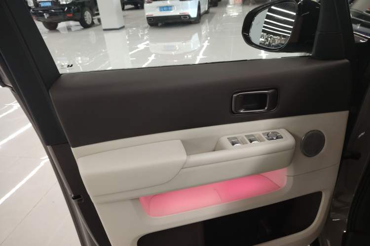 Used Li Auto MEGA 2024 Ultra Model Left Front Door Interior