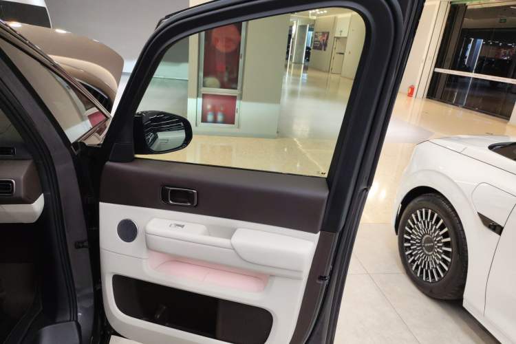 Used Li Auto MEGA 2024 Ultra Model Right Front Door Interior