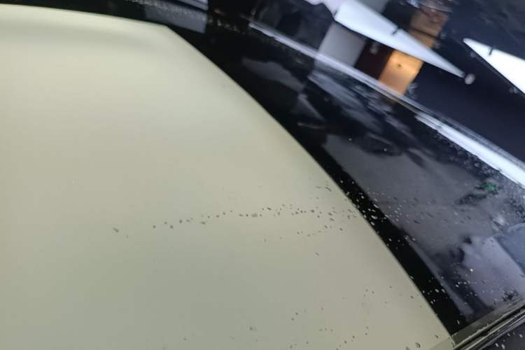 Used Li Auto MEGA 2024 Ultra Model Roof