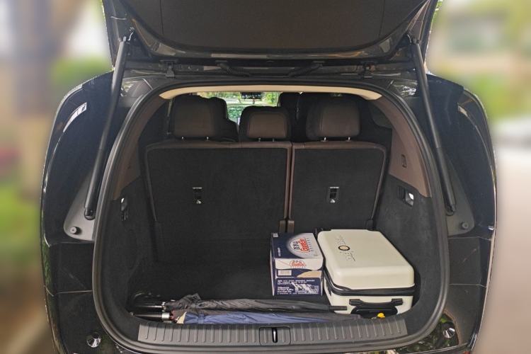 Used Li Auto MEGA 2024 Ultra Model Trunk