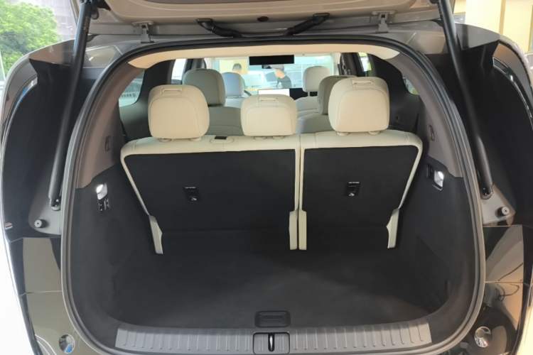 Used Li Auto MEGA 2024 Ultra Model Trunk