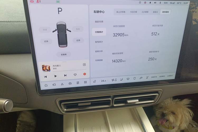 Used Li Auto MEGA 2024 Ultra Model Audio And AC Panel