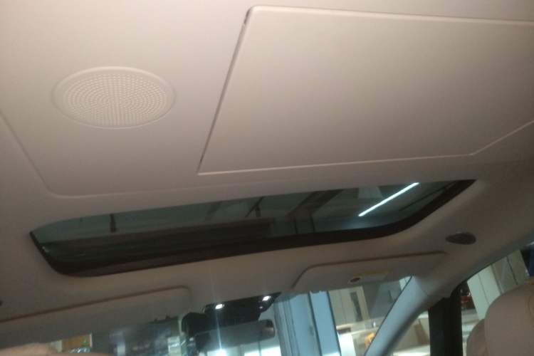 Used Li Auto MEGA 2024 Ultra Model Headliner