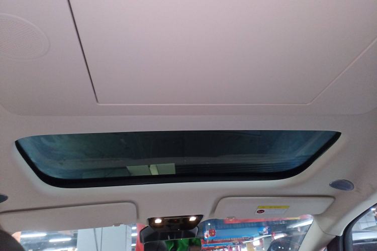 Used Li Auto MEGA 2024 Ultra Model Headliner