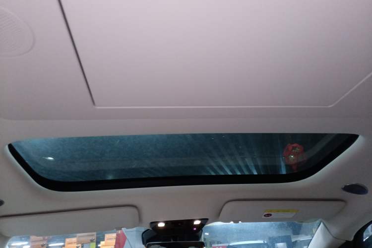 Used Li Auto MEGA 2024 Ultra Model Headliner