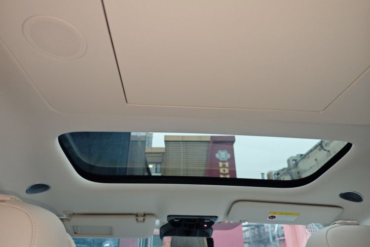 Used Li Auto MEGA 2024 Ultra Model Headliner