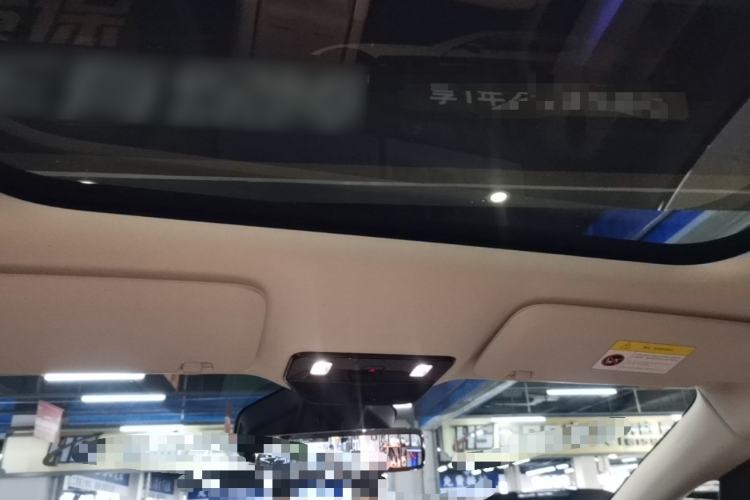 Used Li Auto MEGA 2024 Ultra Model Headliner