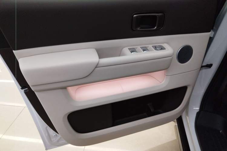 Used Li Auto MEGA 2024 Ultra Model Left Front Door Interior
