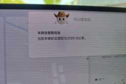 Thumbnail 13