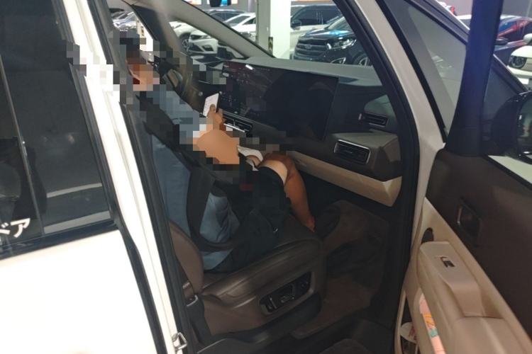 Used Li Auto MEGA 2024 Ultra Model Right Front Seat