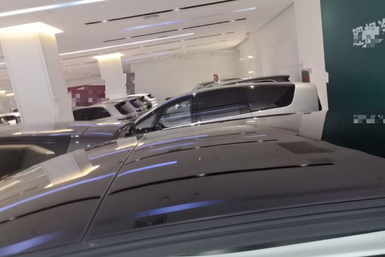 Used Li Auto MEGA 2024 Ultra Model Roof