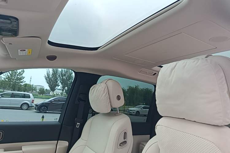 Used Li Auto MEGA 2025 Home Family Special Edition Headliner